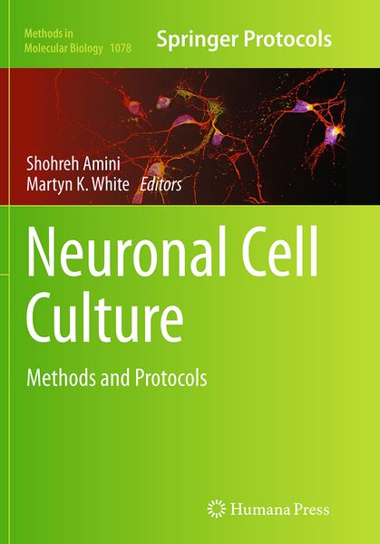 Produktbild: Neuronal Cell Culture