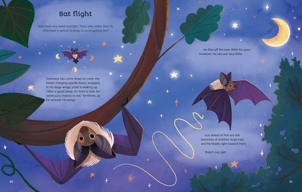 Produktbild: Little Stories from Nature