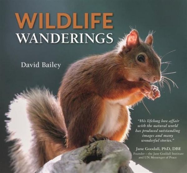 Produktbild: Bailey, D: Wildlife Wanderings