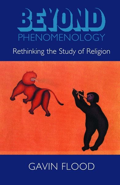 Produktbild: Beyond Phenomenology