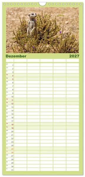 Produktbild: Familienplaner 2027 - Afrikas Tierwelt - Erdm&auml;nnchen mit 5 Spalten (Wandkalender, 21 x 45 cm) CALVENDO
