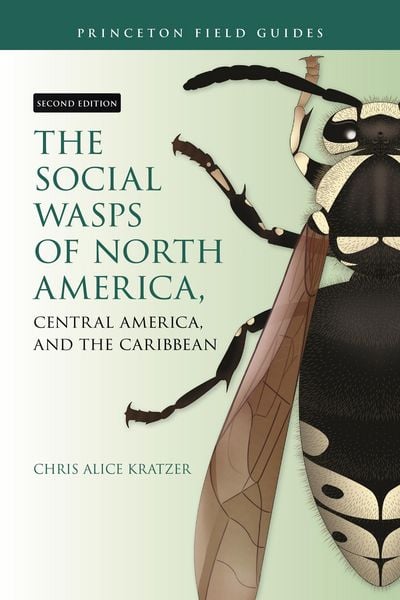 Produktbild: The Social Wasps of North America, Central America, and the Caribbean, Second Edition