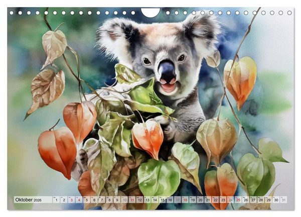 Produktbild: Koalas, liebenswerte kleine Schlafm&uuml;tzen (Wandkalender 2026 DIN A4 quer), CALVENDO Monatskalender