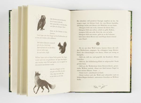 Produktbild: Ein M&auml;dchen namens Willow 2: Waldgefl&uuml;ster