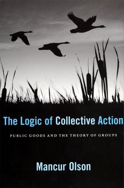 Produktbild: The Logic of Collective Action