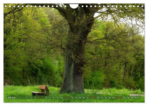 Produktbild: Sch&ouml;ne Aussichten B&auml;nke zum Verweilen (Wandkalender 2026 DIN A4 quer), CALVENDO Monatskalender