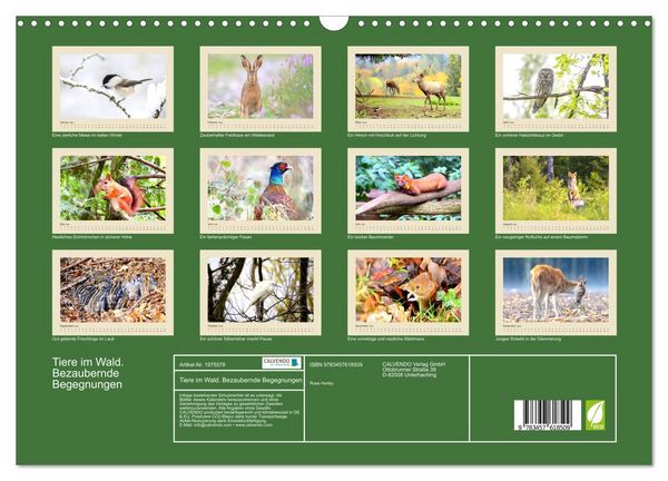 Produktbild: Tiere im Wald. Bezaubernde Begegnungen (Wandkalender 2026 DIN A3 quer), CALVENDO Monatskalender