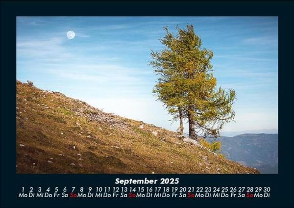 Produktbild: B&auml;ume 2025 Fotokalender DIN A5
