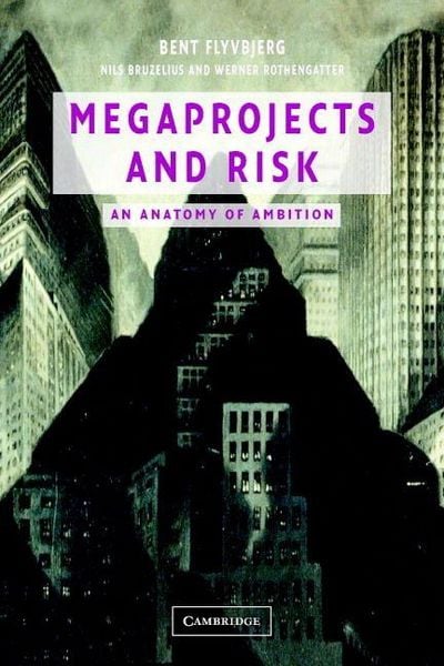 Produktbild: Megaprojects and Risk
