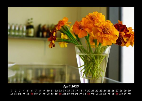 Produktbild: Blumentraum 2025 Fotokalender DIN A3