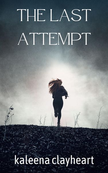 Produktbild: The Last Attempt
