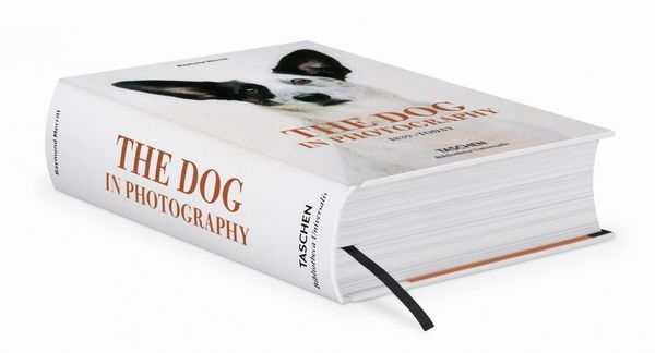 Produktbild: The Dog in Photography 1839&ndash;Today