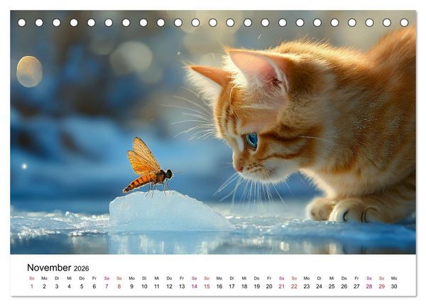 Produktbild: Katzenzauber - Samtpfoten im Jahreslauf (Tischkalender 2026 DIN A5 quer), CALVENDO Monatskalender
