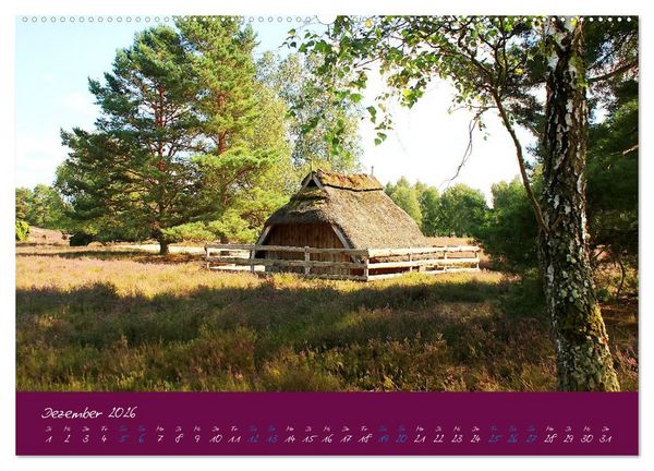 Produktbild: Die Nemitzer Heide - Im Wendland unterwegs (Wandkalender 2026 DIN A2 quer), CALVENDO Monatskalender