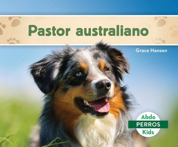 Produktbild: Pastor Australiano (Australian Shepherds)