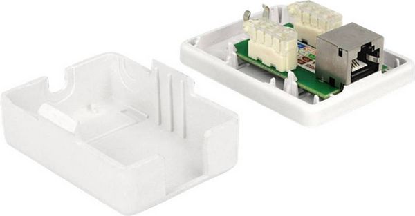 Produktbild: Delock 86169 Netzwerkdose Aufputz, Ger&auml;temontage Einsatz mit Zentralplatte und Rahmen CAT 6 1 Port Wei&szlig;