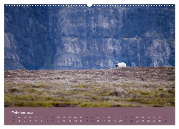 Produktbild: Unter Schafen - Wegbegleiter auf Reisen (Wandkalender 2026 DIN A2 quer), CALVENDO Monatskalender