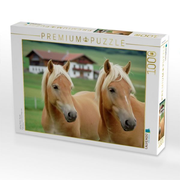 Produktbild: CALVENDO Puzzle Haflinger Pferde - Freunde | 1000 Teile Lege-Gr&ouml;&szlig;e 64x48cm Foto-Puzzle f&uuml;r gl&uuml;ckliche Stunden