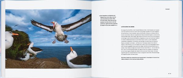 Produktbild: Die erstaunliche Welt der Tiere