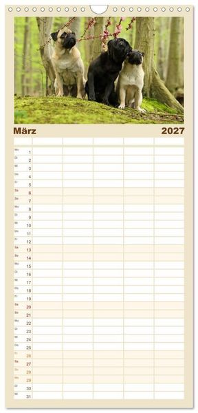 Produktbild: Familienplaner 2027 - Lustige M&ouml;pse aus der Hundeknipserei mit 5 Spalten (Wandkalender, 21 x 45 cm) CALVENDO