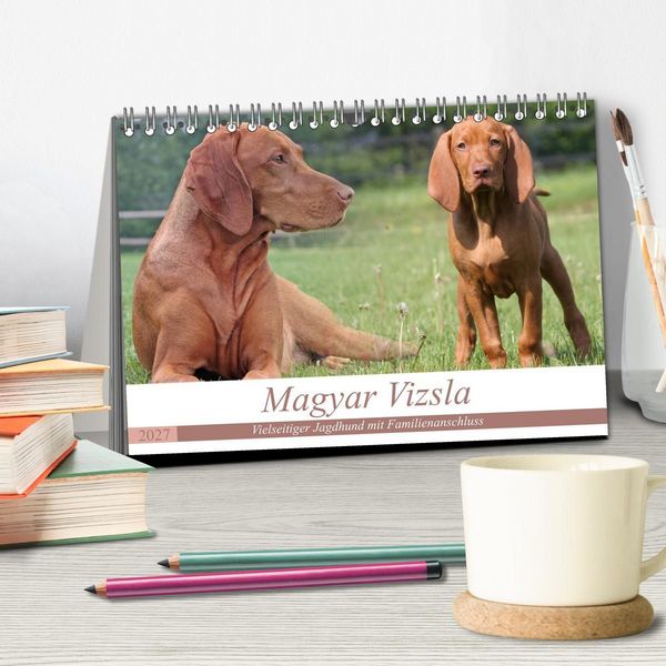 Produktbild: Magyar Vizsla - Vielseitiger Jagdhund mit Familienanschluss (Tischkalender 2027 DIN A5 quer), CALVENDO Monatskalender