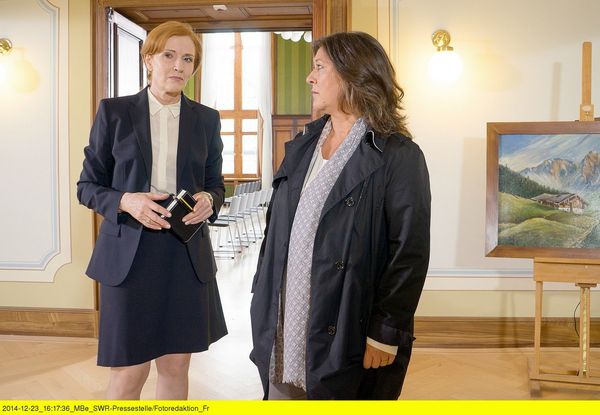 Produktbild: Tatort - Team Konstanz & Bodensee - Blum und Perlmann (Alle 31 F&auml;lle) [16 DVDs]