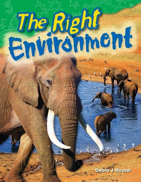 Produktbild: The Right Environment