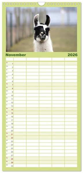 Produktbild: Familienplaner 2026 - Lama-Kalender mit 5 Spalten (Wandkalender, 21 x 45 cm) CALVENDO