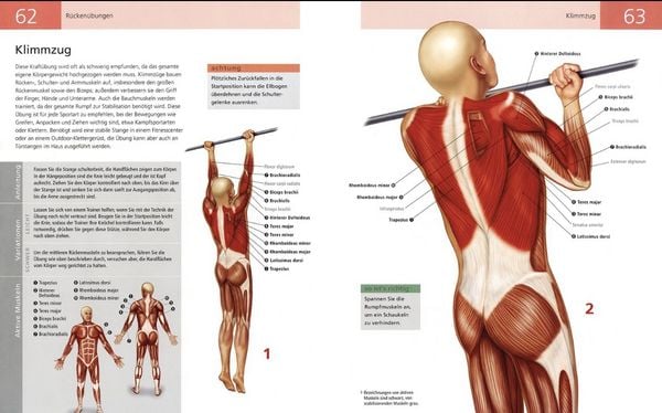 Produktbild: Das Anatomie-Buch der Fitness