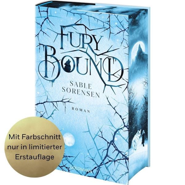 Produktbild: Fury Bound
