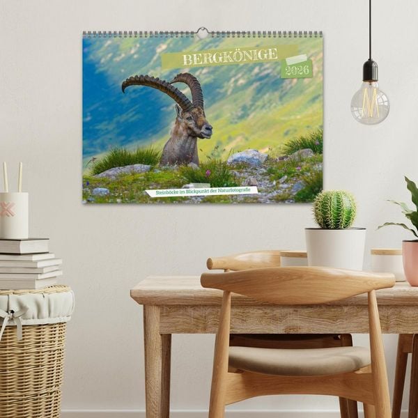 Produktbild: Bergk&ouml;nige - Steinb&ouml;cke im Blickpunkt der Naturforografie (Wandkalender 2026 DIN A3 quer), CALVENDO Monatskalender