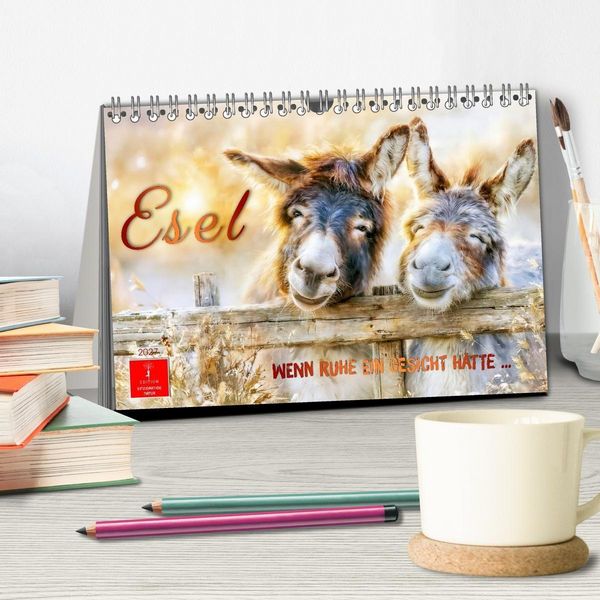 Produktbild: Esel - Wenn Ruhe ein Gesicht h&auml;tte (Tischkalender 2027 DIN A5 quer), CALVENDO Monatskalender