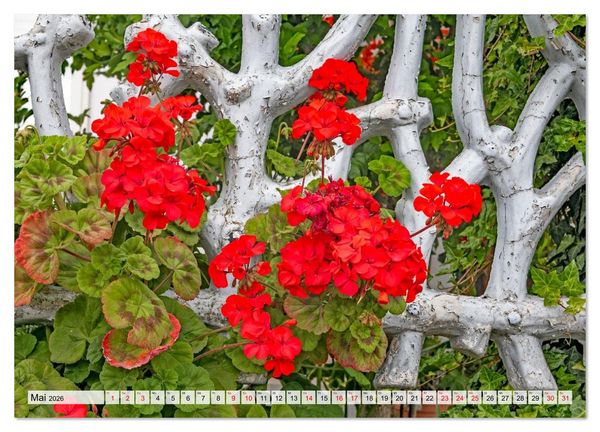 Produktbild: DIE FARBE ROT (hochwertiger Premium Wandkalender 2026 DIN A2 quer), Kunstdruck in Hochglanz