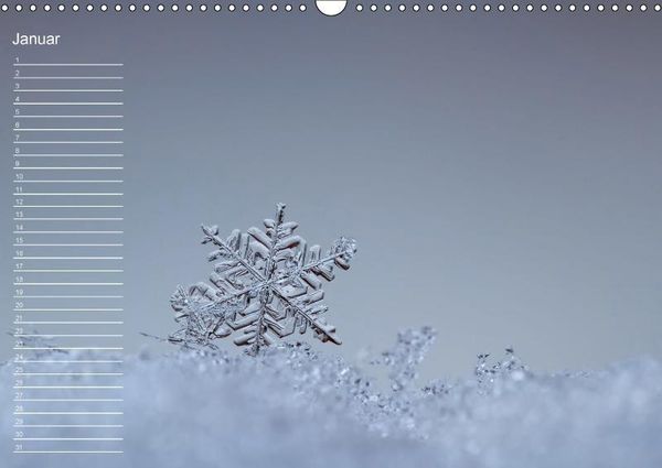 Produktbild: Nah ... N&auml;her ... MAKRO (Wandkalender immerw&auml;hrend DIN A3 quer)