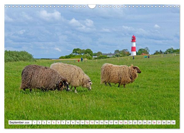 Produktbild: Angeln - Landschaft zwischen Schlei und Flensburger F&ouml;rde (Wandkalender 2026 DIN A3 quer), CALVENDO Monatskalender