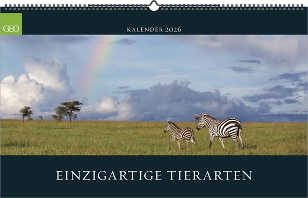 GEO - Einzigartige Tierarten 2026 – Wandkalender 58x36 cm, Poster-Kalender mit 12 Monatsblättern, deutschem Kalendarium & Spiralbindung,