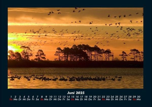 Produktbild: Sonnenunterg&auml;nge 2025 Fotokalender DIN A4