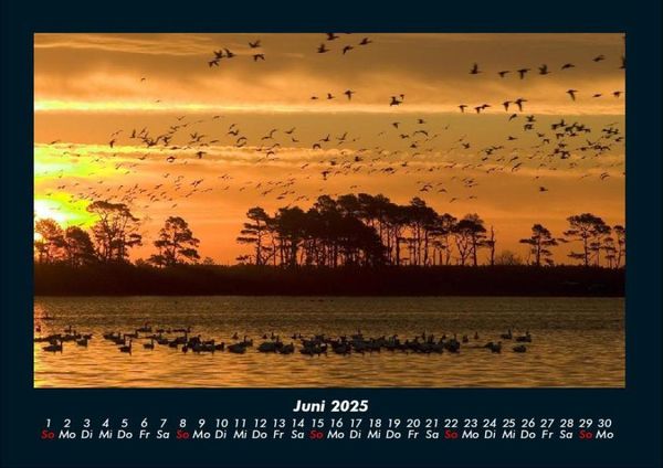 Produktbild: Sonnenunterg&auml;nge 2025 Fotokalender DIN A4