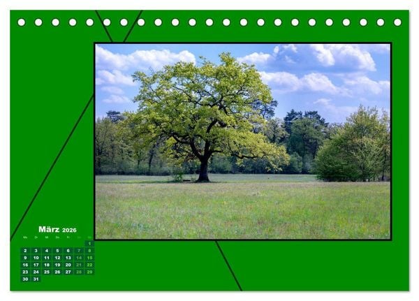 Produktbild: Heilende Farbe Gr&uuml;n (Tischkalender 2026 DIN A5 quer), CALVENDO Monatskalender