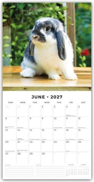Produktbild: Rabbits &ndash; Hasen &ndash; Kaninchen 2027 &ndash; 16-Monatskalender