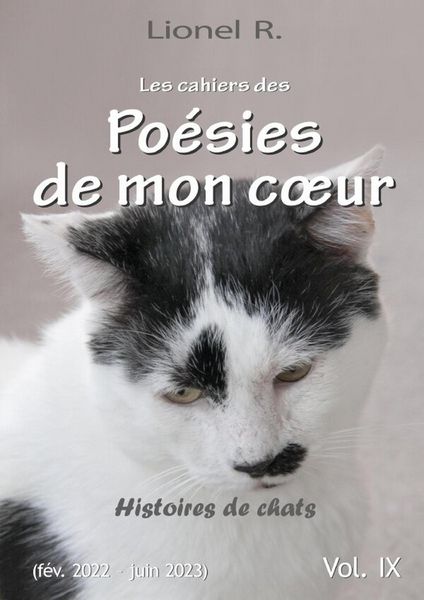 Produktbild: Les cahiers des poesies de mon
