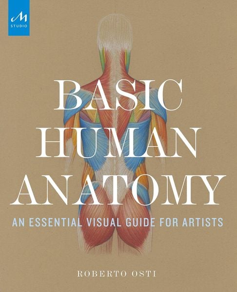 Produktbild: Basic Human Anatomy