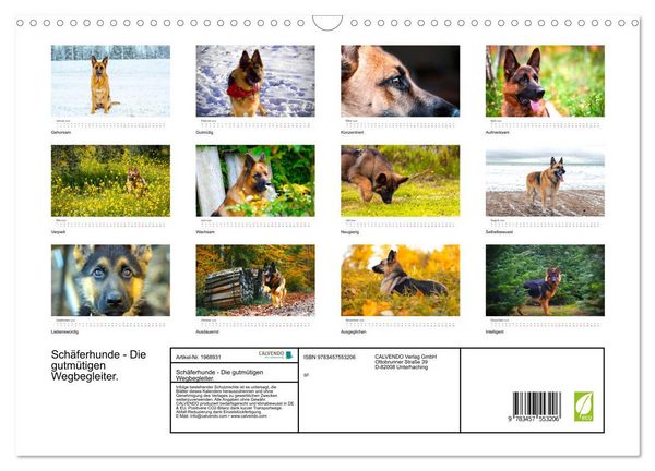 Produktbild: Sch&auml;ferhunde - Die gutm&uuml;tigen Wegbegleiter. (Wandkalender 2026 DIN A3 quer), CALVENDO Monatskalender