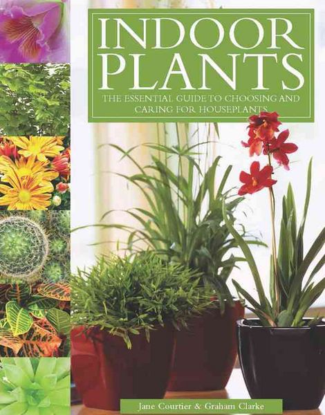 Produktbild: Indoor Plants