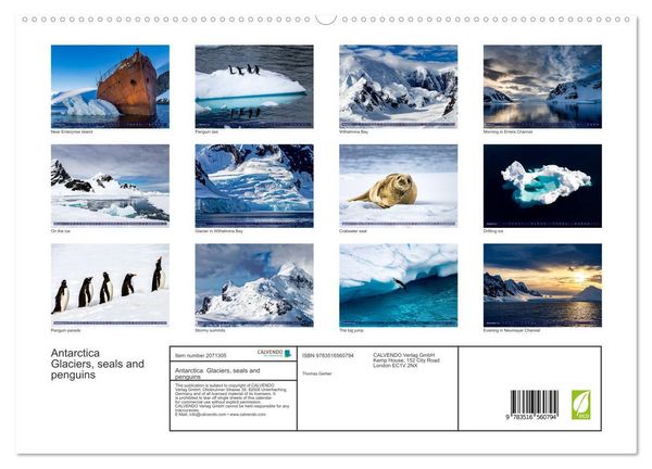 Produktbild: Antarctica Glaciers, seals and penguins (High Quality Premium Wall Calendar 2026 DIN A2 landscape),CALVENDO 12 Month Wall Calendar