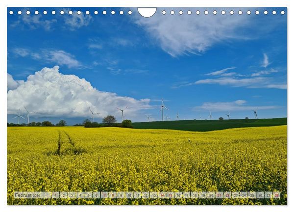 Produktbild: Timmendorfer Strand und Umgebung (Wandkalender 2026 DIN A4 quer), CALVENDO Monatskalender