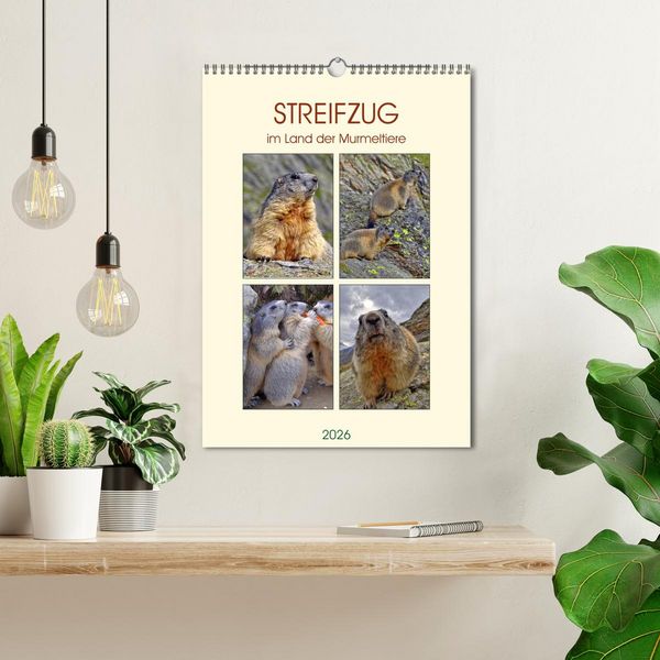 Produktbild: STREIFZUG im Land der Murmeltiere (Wandkalender 2026 DIN A3 hoch), CALVENDO Monatskalender