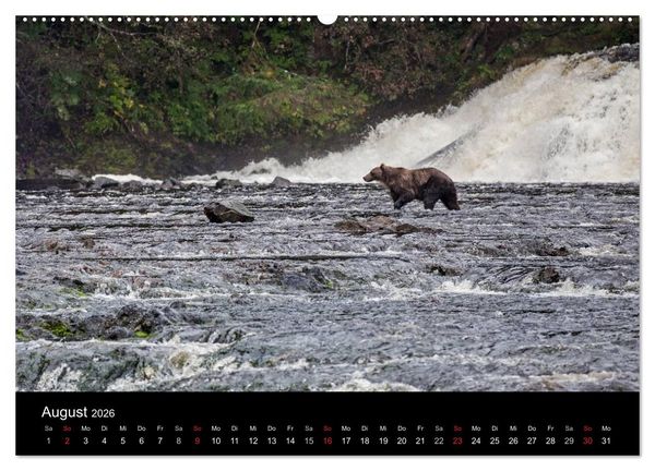 Produktbild: FASZINATION ALASKA Expedition durch die Inside Passage (Wandkalender 2026 DIN A2 quer), CALVENDO Monatskalender