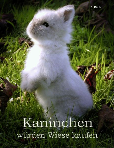 Produktbild: Kaninchen w&uuml;rden Wiese kaufen