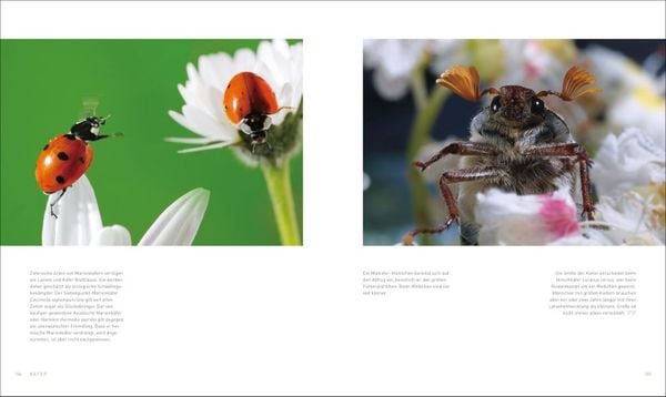Produktbild: Unsere einzigartige Insektenwelt
